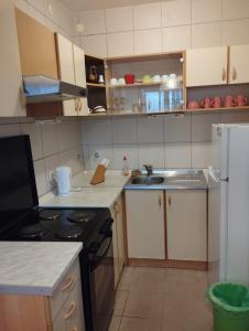 Kuchyň nebo kuchyňský kout v ubytování Apartments Vila Lavanda