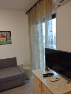 TV a/nebo společenská místnost v ubytování Apartments Vila Lavanda