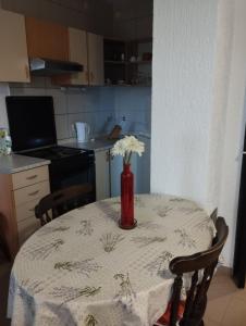 Kuchyň nebo kuchyňský kout v ubytování Apartments Vila Lavanda