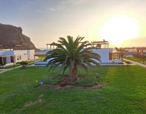 una palmera en un patio frente a una casa en Alquilo casa de playa Condominio Playa Azul cerca de Asia, en Cerro Azul