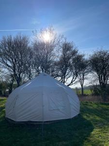 a white tent in a field with trees in the background at Nine Acres, peaceful in Brackley