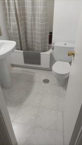 a bathroom with a toilet and a shower and a sink at Apartamento cinta 3 habitaciones in Seville