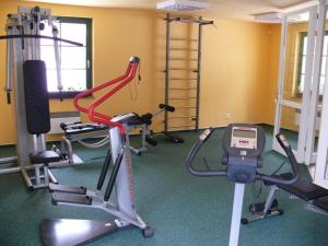 Fitness centrum a/nebo fitness zařízení v ubytování Hotel na Jezeře