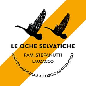 due uccelli volano sopra un cartello giallo di Agriturismo Le oche selvatiche a Lauzacco