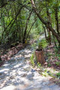 ベリハロヤにあるNature Springs Belihul oyaのギャラリーの写真