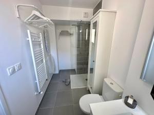 La petite salle de bains est pourvue d'une douche et de toilettes. dans l'établissement Charmant Studio à proximité du Port de Nice, à Nice