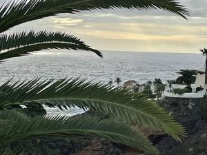 a view of the ocean from a palm tree at Apartamento Dhanvantari en Adeje Paradise in Playa Paraiso