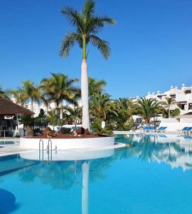 una palmera en medio de una piscina en Apartamento Dhanvantari en Adeje Paradise, en Playa Paraiso