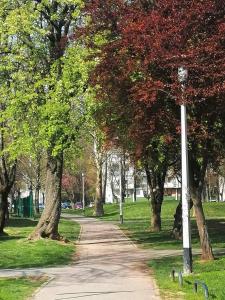 Vonkajšia záhrada v ubytovaní Apartman 7th Heaven