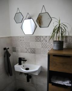 a bathroom with a sink and a potted plant at Chalupa Weissbach 