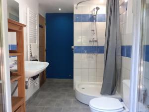 a bathroom with a sink and a toilet and a shower at Le Studio du Crot Noir in Cussy-en-Morvan