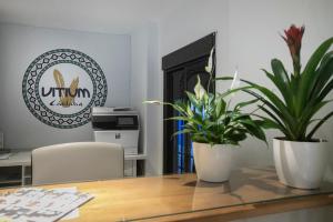Fotografie z fotogalerie ubytování Vitium Córdoba v destinaci Córdoba