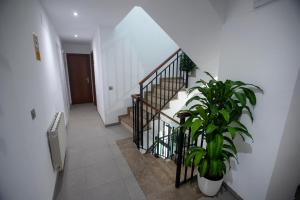 Fotografie z fotogalerie ubytování Vitium Córdoba v destinaci Córdoba