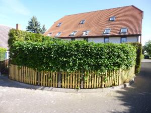 a hedge in front of a house with a fence at Haus Zum See, Sommersdorf, Mecklenburgische Seenplatte in Sommersdorf