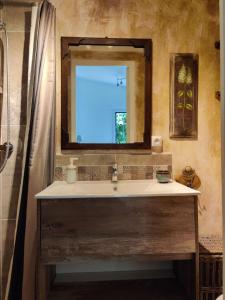 a bathroom with a sink and a mirror at Le Cerisier in Mareil-Marly