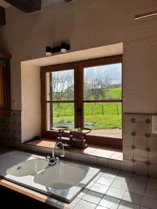 een badkamer met een wastafel en een groot raam bij la maison de Barbara in La Guiche