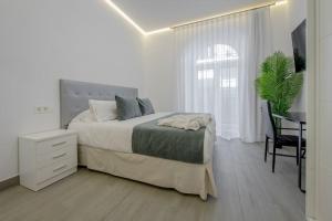 een slaapkamer met een bed, een bureau en een stoel bij SUARA Apartamentos 2 in Madrid