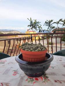 a bowl of fruit sitting on top of a table at Apartman Krivokapic in Igalo