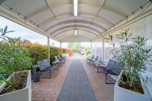 un patio con sedie e piante in un edificio di Hotel Ayri a Medesano