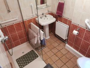 a bathroom with a shower and a sink at Sheila's Cottage Ballyheigue in Ballyheigue +38 photos