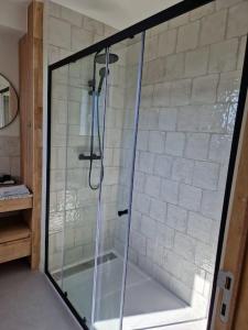 a shower with a glass door in a bathroom at Phoenix in Ghent