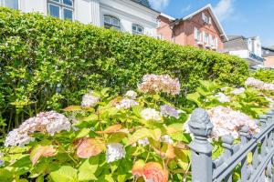 Zahrada ubytování Die Villa 1903 Whg 2