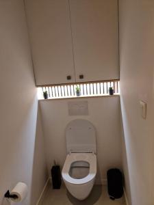 uma pequena casa de banho com WC numa cabina em Phoenix em Gent