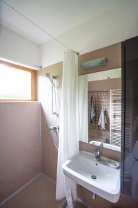 uma casa de banho com um lavatório, um chuveiro e um espelho. em Gut Hornegg em Preding