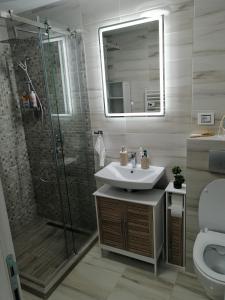 a bathroom with a shower and a sink and a toilet at Apartman Ekvilibrijum in Zlatibor