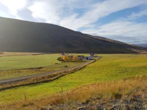 une route dans un champ avec une montagne en arrière-plan dans l'établissement Cottage - two bedrooms, à Blönduós