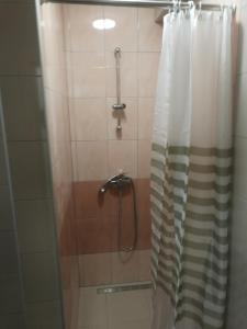 y baño con ducha y cortina de ducha. en apartma Burjuca, en Ajdovščina