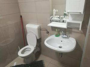 ein Bad mit einem WC und einem Waschbecken in der Unterkunft apartma Burjuca in Ajdovščina