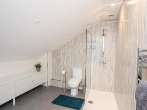 a bathroom with a toilet and a shower at Ty Copr Perlog in Criccieth +36 photos