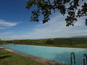 ein Schwimmbad in der Mitte eines Feldes in der Unterkunft Quinta da Alagoa in Santa Maria de Émeres