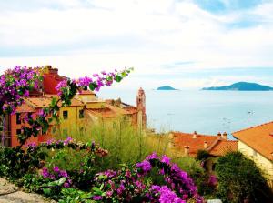 a view of a town with purple flowers at Gambero Nero in Tellaro