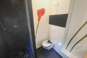 ein Badezimmer mit einem WC und einem roten Hut an der Wand in der Unterkunft Comfortable studio in the historical center in Avignon