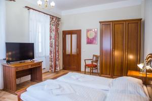 TV a/nebo společenská místnost v ubytování Hostel Little Quarter