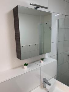 a bathroom with a sink and a mirror at Apartment 70 qm Kalimandscharo 3 in Zielitz - Magdeburg in Zielitz