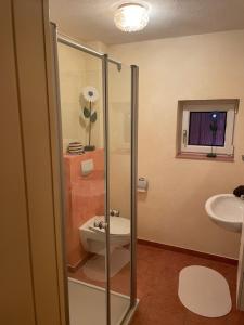 a bathroom with a shower and a toilet and a sink at Zur zornigen Ameise in Thale