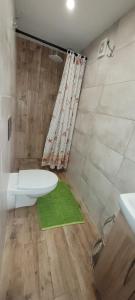a bathroom with a toilet and a green rug at Domki nad Morzem "Dom Turysty MAG" in Gdańsk +34 photos