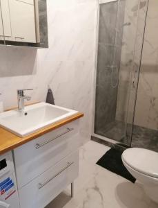 a bathroom with a sink and a shower at Apartament Pruszcz Gdański 1 in Pruszcz Gdański