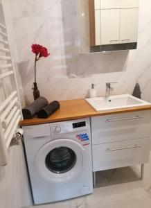 a bathroom with a washing machine and a sink at Apartament Pruszcz Gdański 1 in Pruszcz Gdański