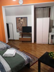 TV a/nebo společenská místnost v ubytování Firenze inn 21 Florence