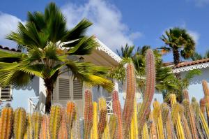 a fence with colorful plants in front of a house at Starshipvillas Bonaire in Kralendijk