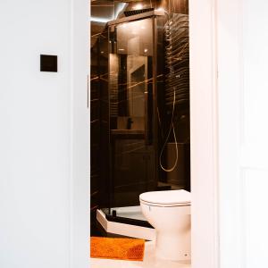 a bathroom with a toilet and a shower at Apartament LOFT na Moniuszki in Radom