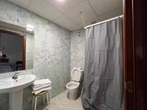 a bathroom with a sink and a toilet and a shower at Hostal la Embajada in Talavera de la Reina