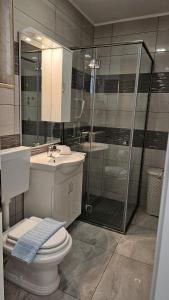 a bathroom with a shower and a toilet and a sink at Apartmani Barnjak in Trogir