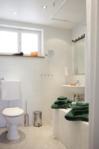 a bathroom with a toilet and a sink at Apartment Schlossberg in Tübingen