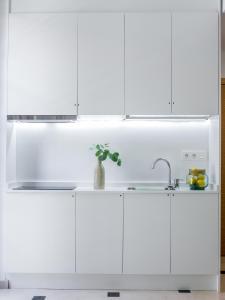 A kitchen or kitchenette at Mesones 54