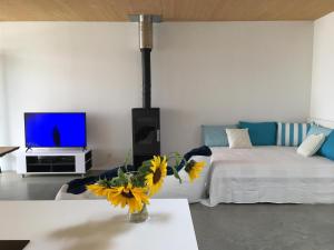 A television and/or entertainment centre at Ferienhaus am See Neusiedl